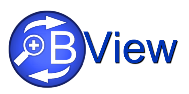BView-Logo-no-background